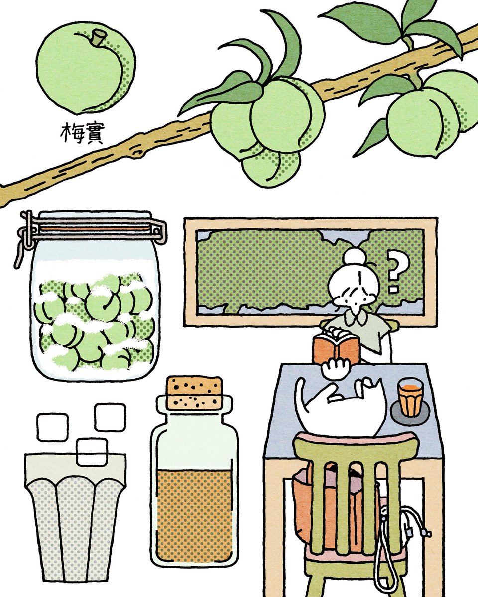 5월에 담근 매실청을 열어볼 시간