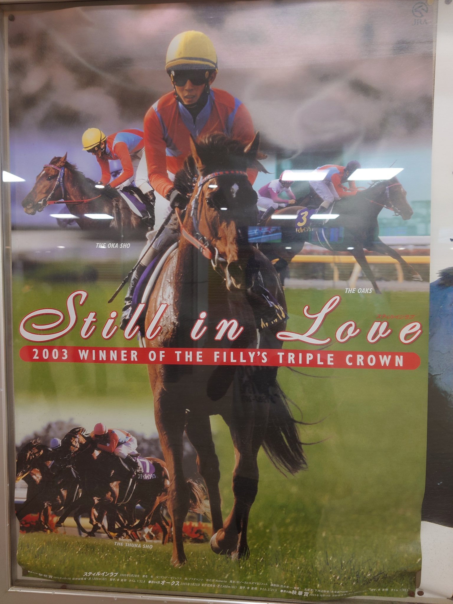 期限切れ単勝馬券】 紅梅ステークス スティルインラブ ウマ娘 期限切れ