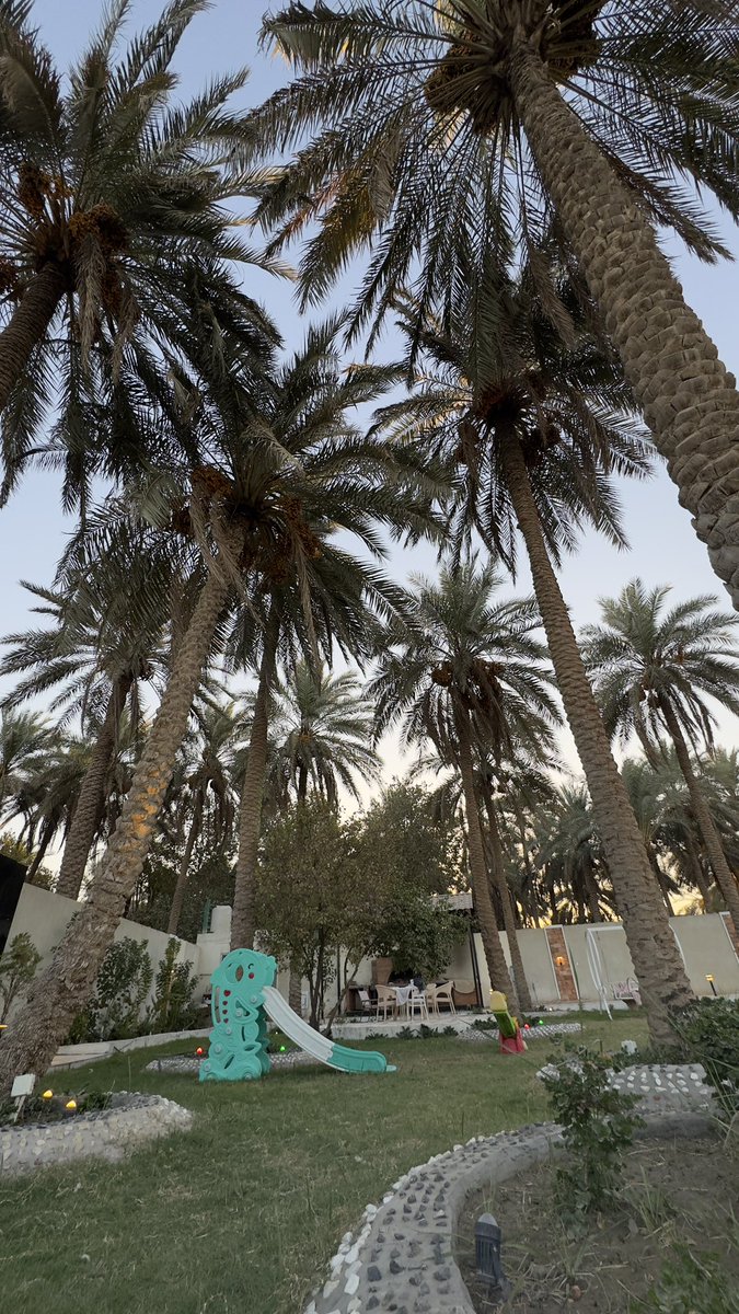 ضُـحـى tweet media