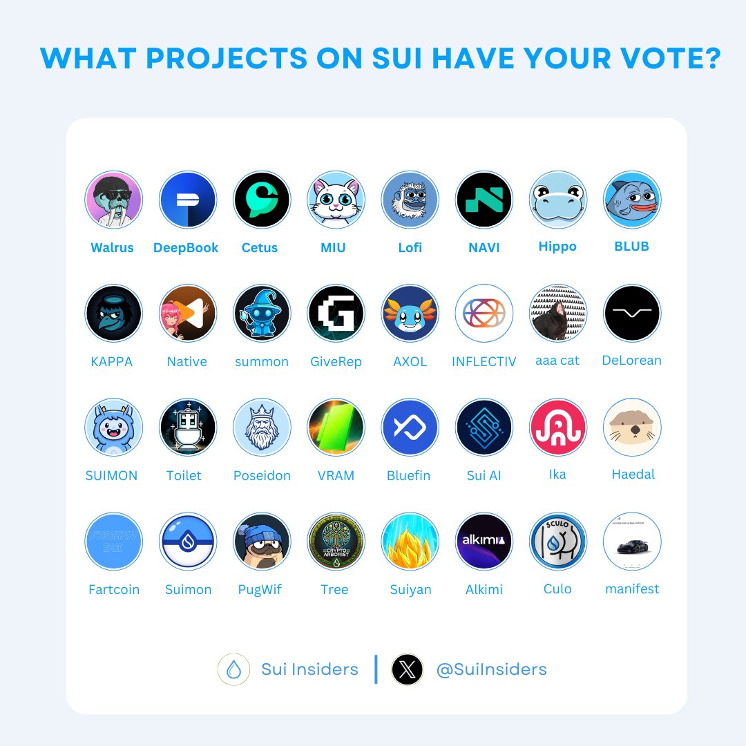 WHAT PROJECTS ON SUI HAVE YOUR VOTE?

$SUI is rapidly climbing the ranks, positioning itself as one of the leading blockchains of today. With new projects, capital, and liquidity flowing in, the momentum is undeniable 🔥

Which project in the ecosystem has your attention right