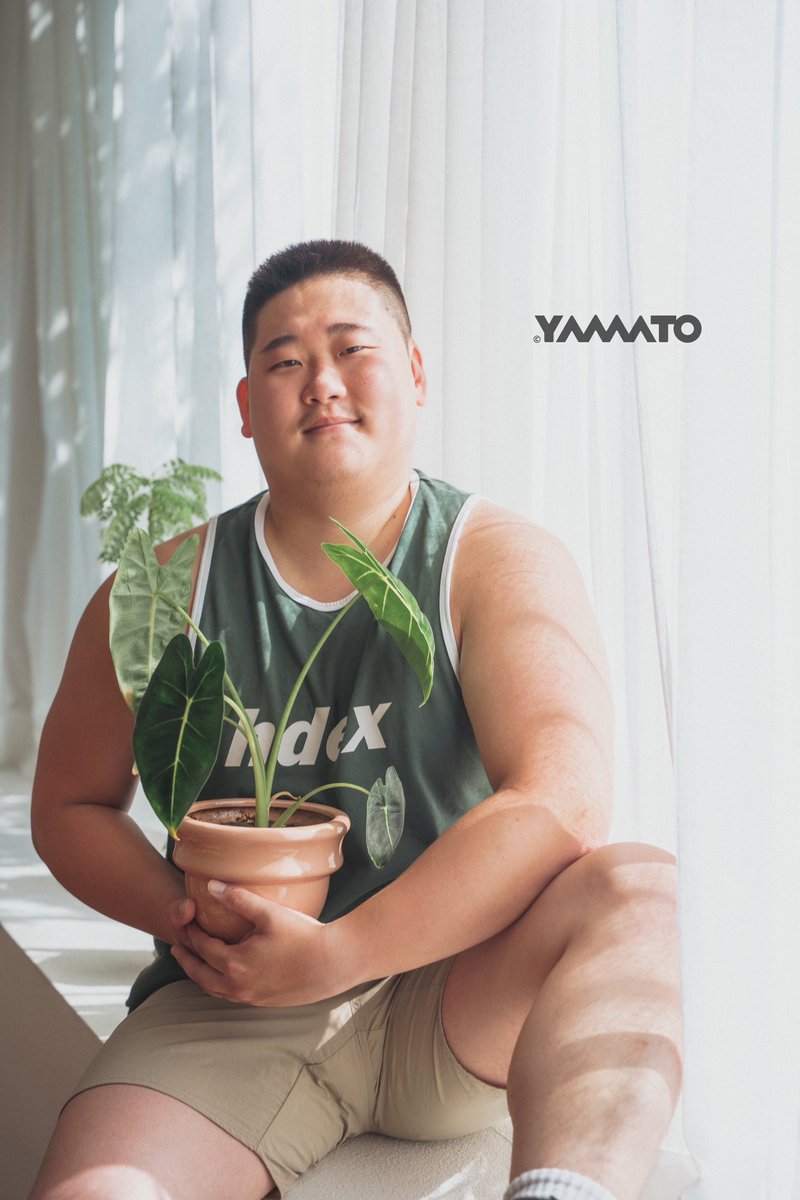 やまと tweet media