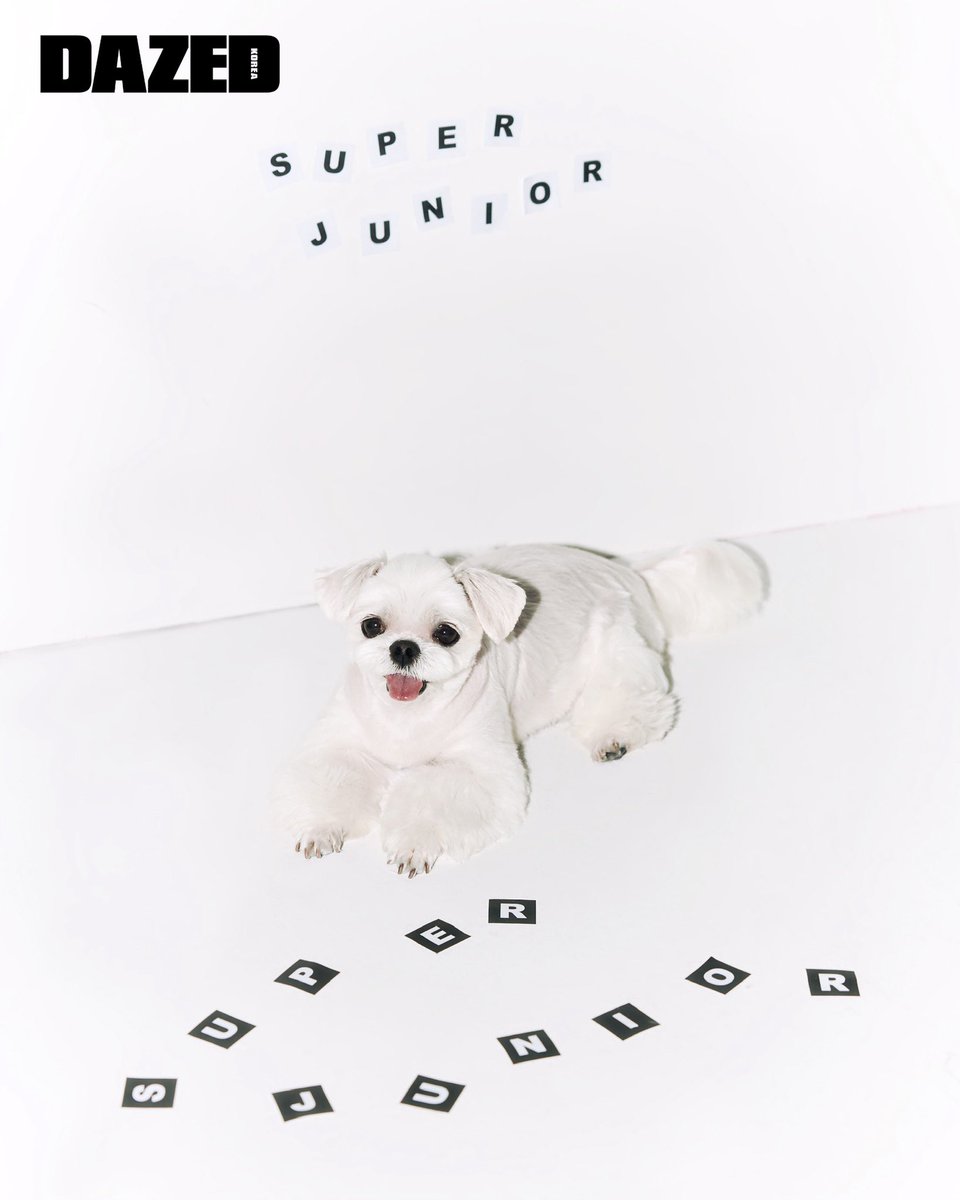 DAZED KOREA 데이즈드 코리아 tweet media