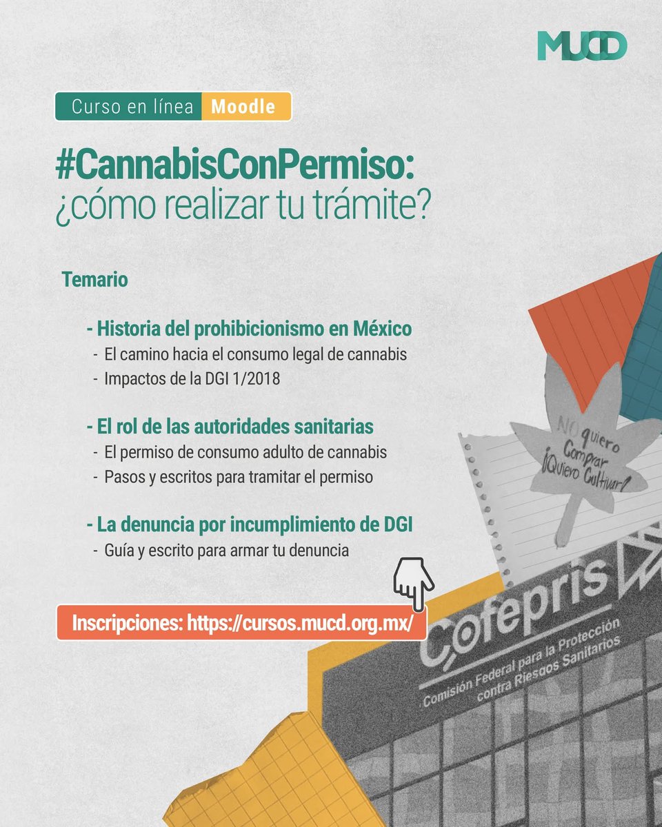 Checa lo que aprenderás en el curso #CannabisConPermiso 🥦✨

¡Obtendrás los formatos para tu permiso y más! 

Inscríbete aquí  mucd.org.mx/cursocannabis/