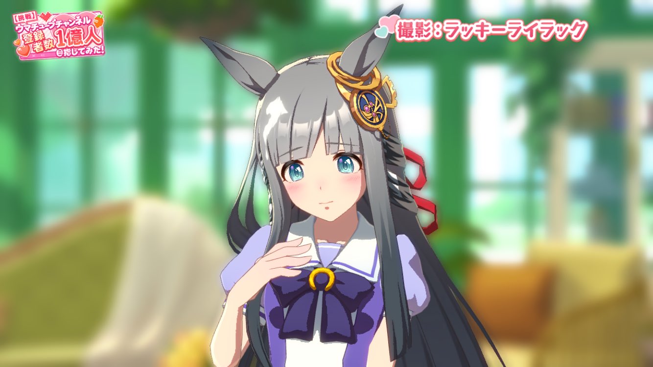 ごまちゃん様　オーダー専用ページ 先日minneでのオーダーで作ったチワックスちゃんを一般的