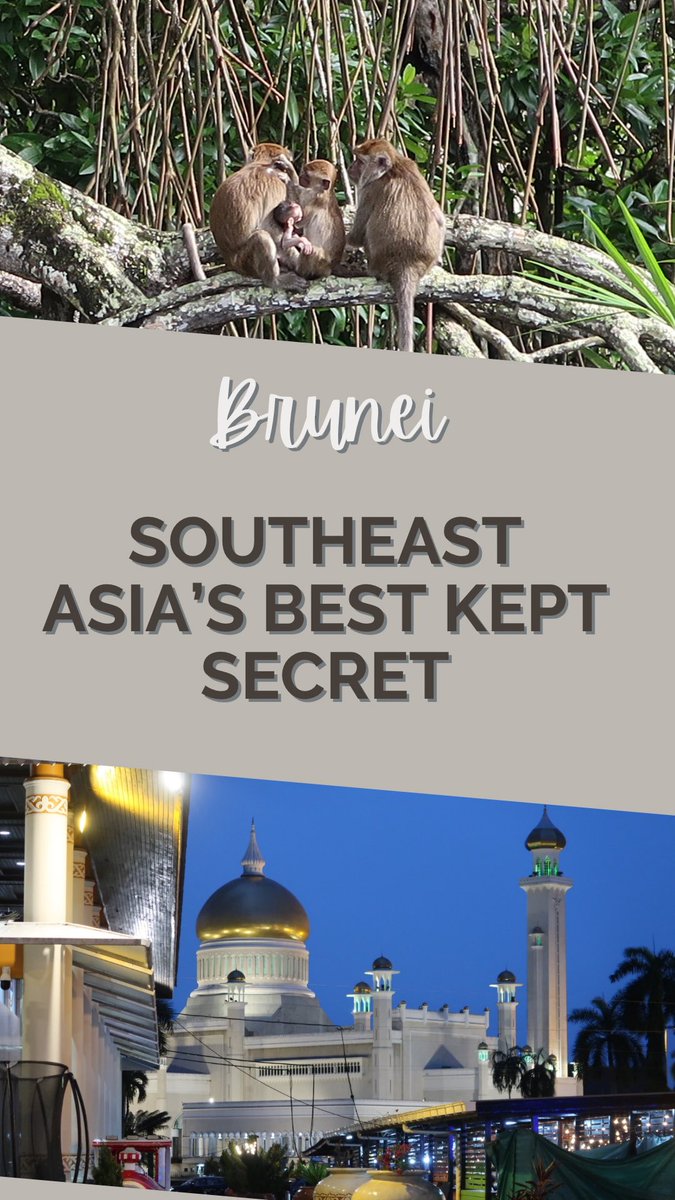 mayu---🗼 (@1gamayu) / X