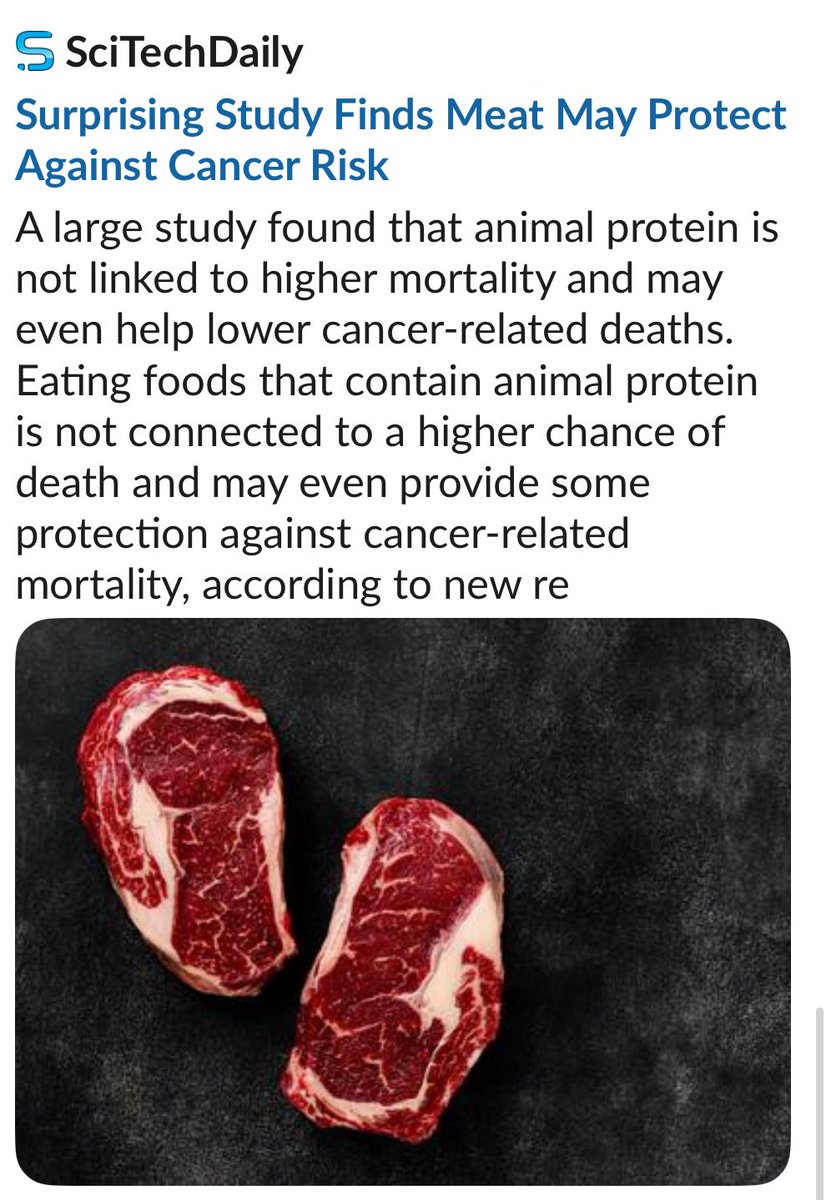 Chief Nutrition tweet media
