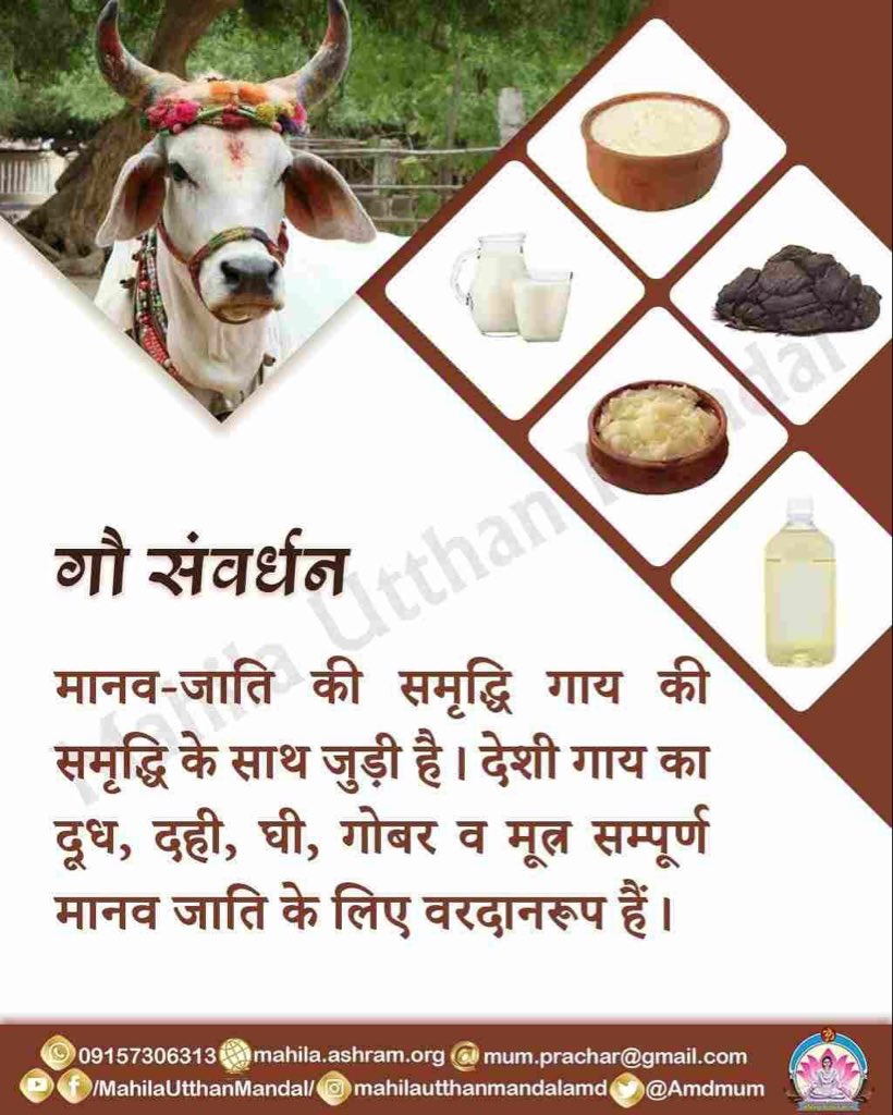 #GauMata
Sant Shri Asharamji Bapu ने सत्संगों में बताया है
Desi Cow पदार्थो से बना
Panchgavya रोगप्रतिरोधक क्षमता बढ़ाता है, और देसी गौ रक्षित होंगी तभी ये अमृत बन सकेगा तो गौरक्षण सभी का कर्तव्य है।