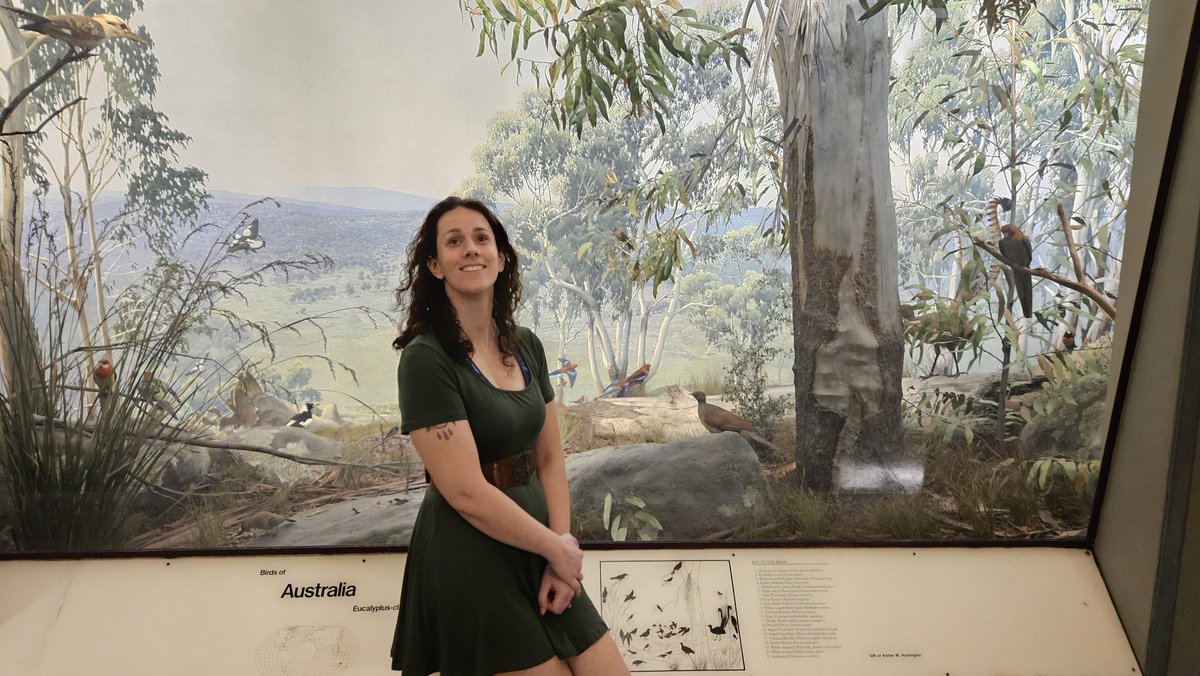 ChipDingle tweet media