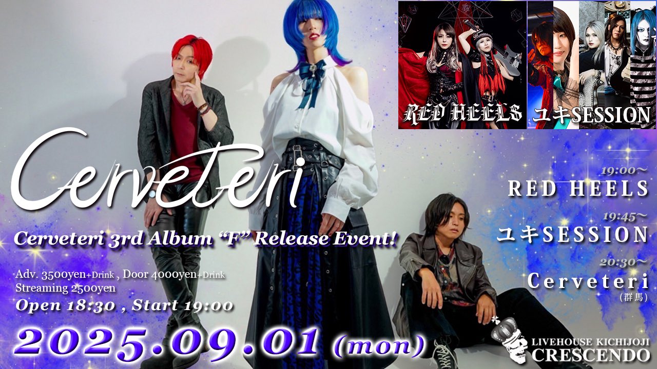 【激レア】Nerv Rituell ワンマン 配布CD ゆりかご 地獄の沙汰もSORE次第 - 株式会社 C-works