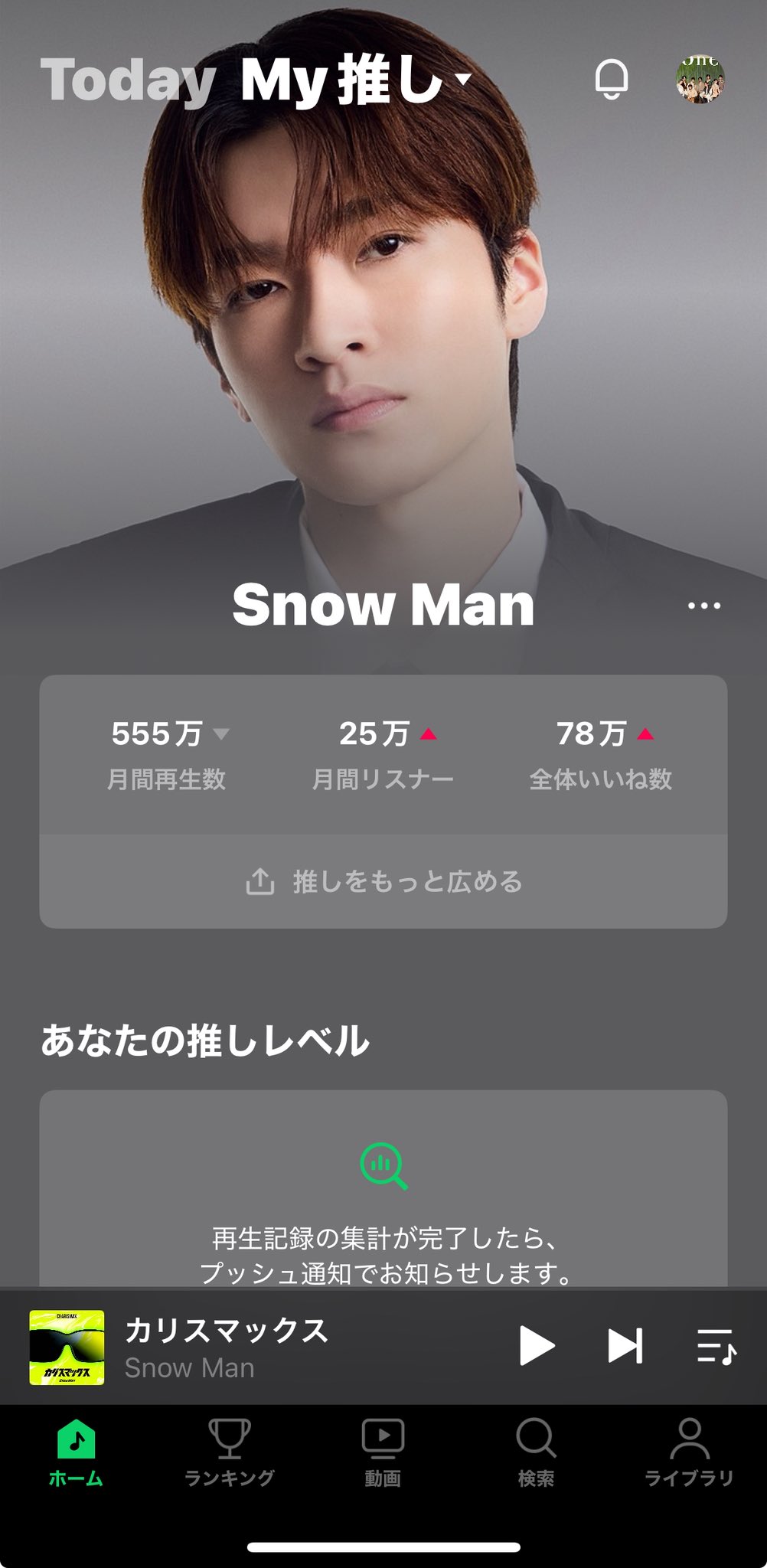 専用ページです。。ヒラヤマの雪男さん様 ヒラヤマの雪男様 リクエスト 2点 まとめ商品