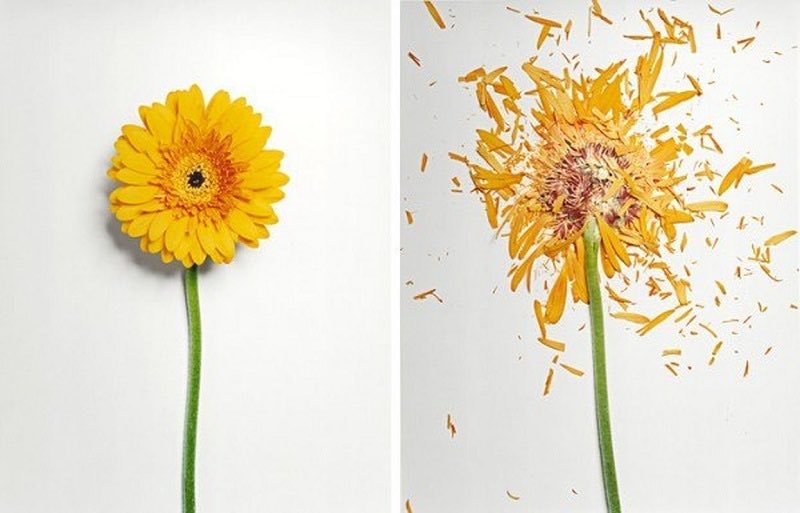 how I appear                 how I feel inside
                             Crippled