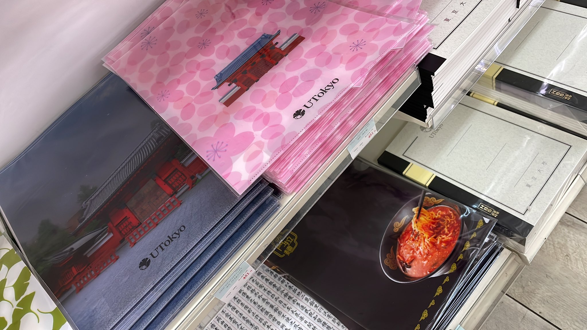 【中古】 ５３３　東大（文ー後）/世界思想社 桜さくら｜青幻舎 SEIGENSHA Art Publishing, Inc.
