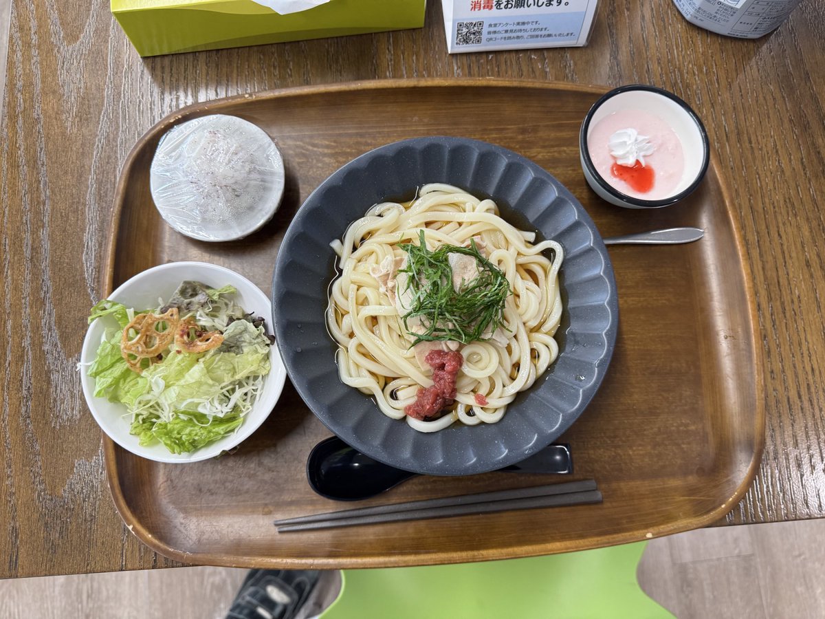 梅と豚シャブの冷やしうどん、サラダ、ゆかりおにぎり、イチゴムース。
#お昼ごはん