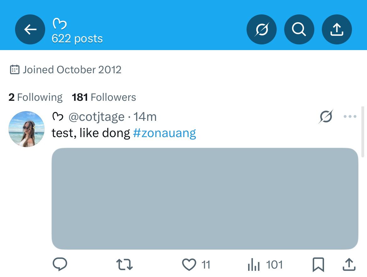 ⊹ tweet media