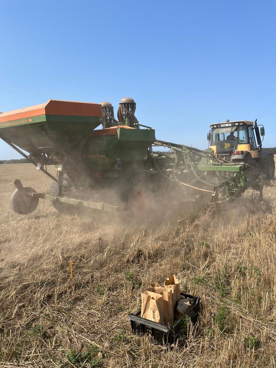 Retour en images chez un agriculteur du groupe <a href="/GSud91/">Groupe DEPHY Sud91</a> !
👉 2 essais de couverts végétaux en cours :
1️⃣ Technique d’implantation
2️⃣ Mélanges d’espèces pour réduire les IFT de la prochaine culture