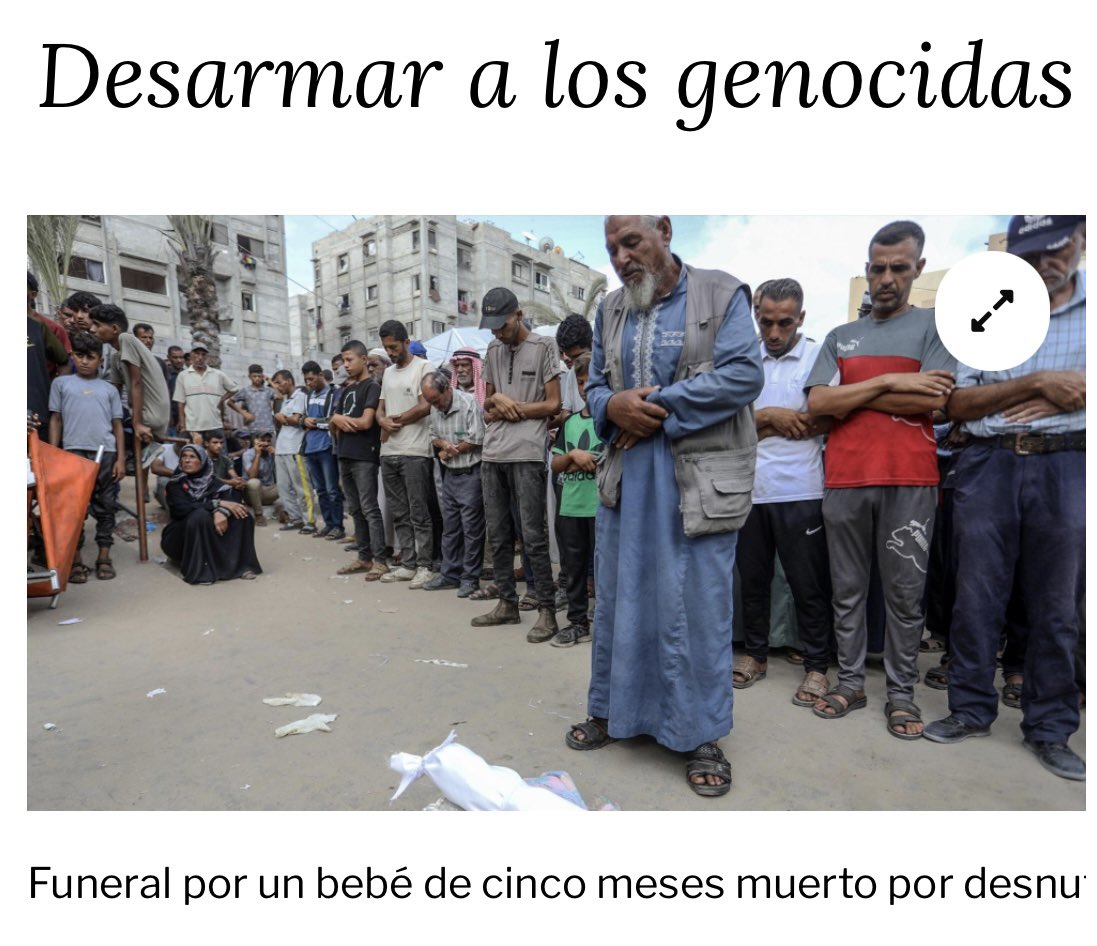 Reconocer el Estado palestino? Bien. Pero eso no va a parar las muertes por hambre, los bombardeos, las expulsiones forzosas.

Hay que es sancionar y desarmar a los genocidas ya!

Mi tribuna en <a href="/publico_es/">Público</a> 👇🏽
publico.es/opinion/column… 

#GazaGenocide #GazaStarving