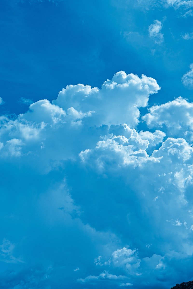 Lot (@gustfronty797) on Twitter photo 