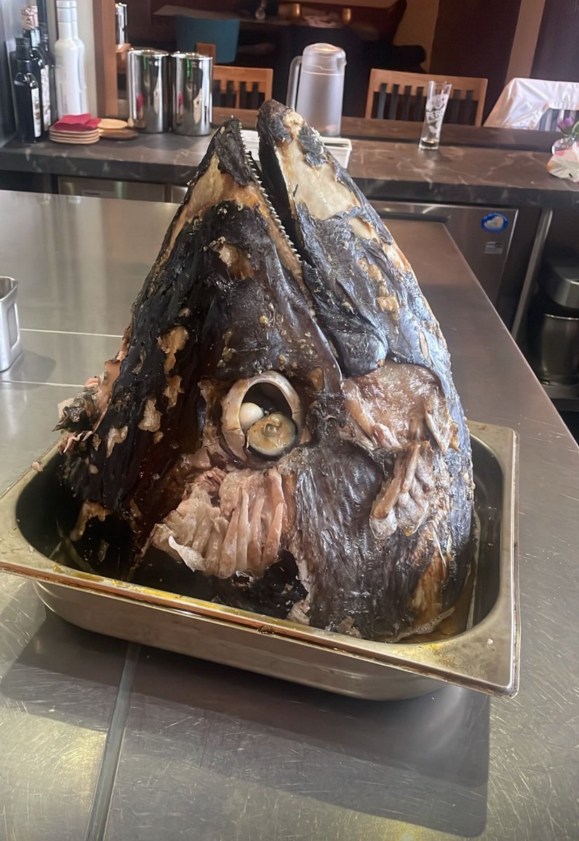 Probando la cabeza de atún asada para nuestro 4 manos en Tokyo el próximo 28 noche.