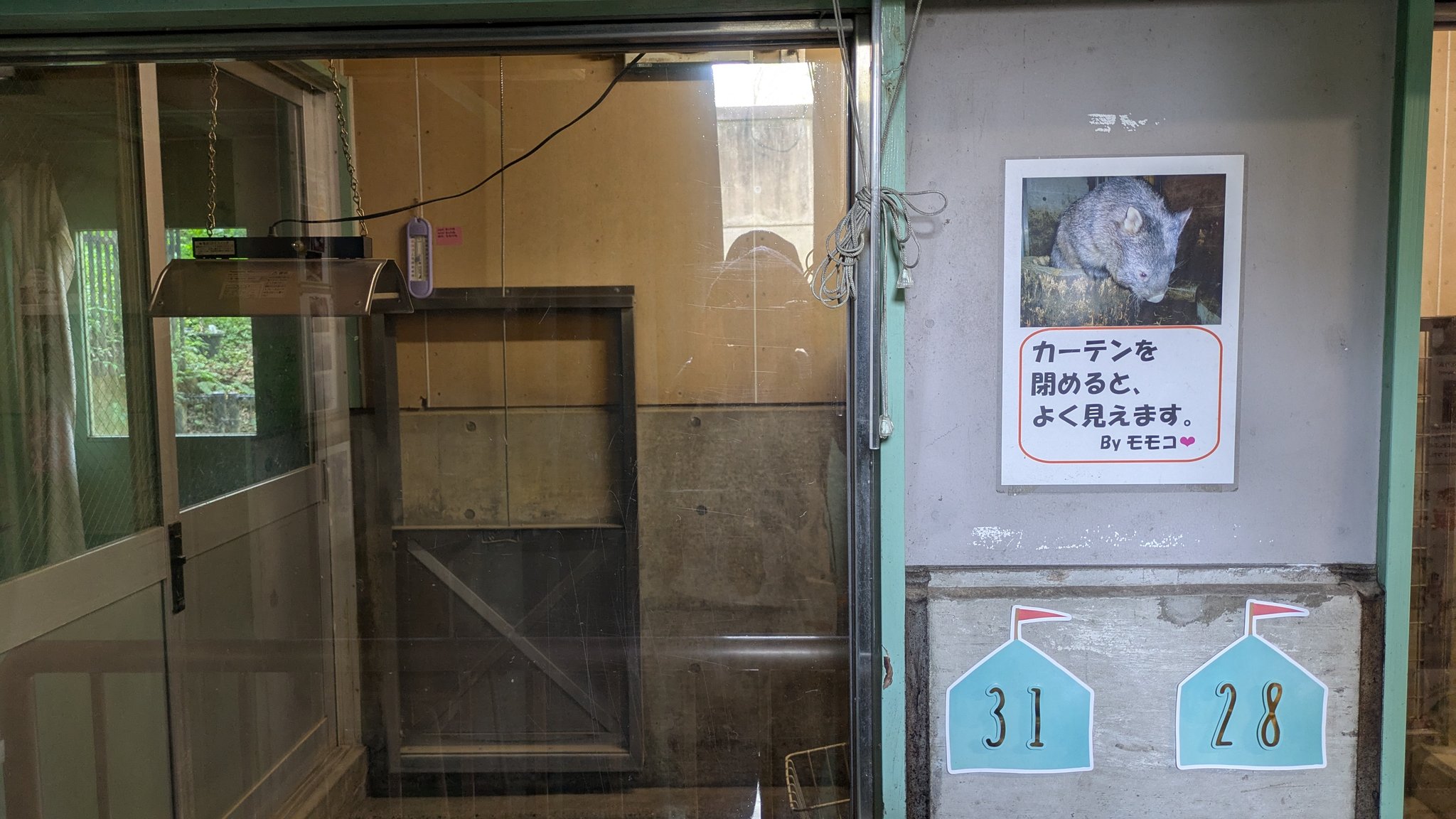 マイちゃん様のお部屋 とーま on X: 