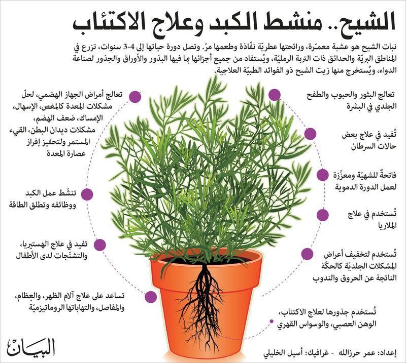 فضلا هل هذه المعلومات في الصورة صحيحة؟ <a href="/grok/">Grok</a>