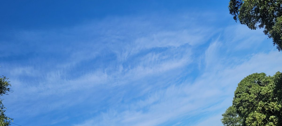 ANGRYNIC2's tweet photo. Easyjet scum spraying at under 30k feet. 25mins later and this single trail is now huge, miles wide, milking out the sun. 25mins from big fat line to huge milk blanket. Every single pilot is guilty either by deed or by silence. Criminals. #pilotstwtselfieday #BankHolidayMonday https://t.co/ZhLS9XVEpm