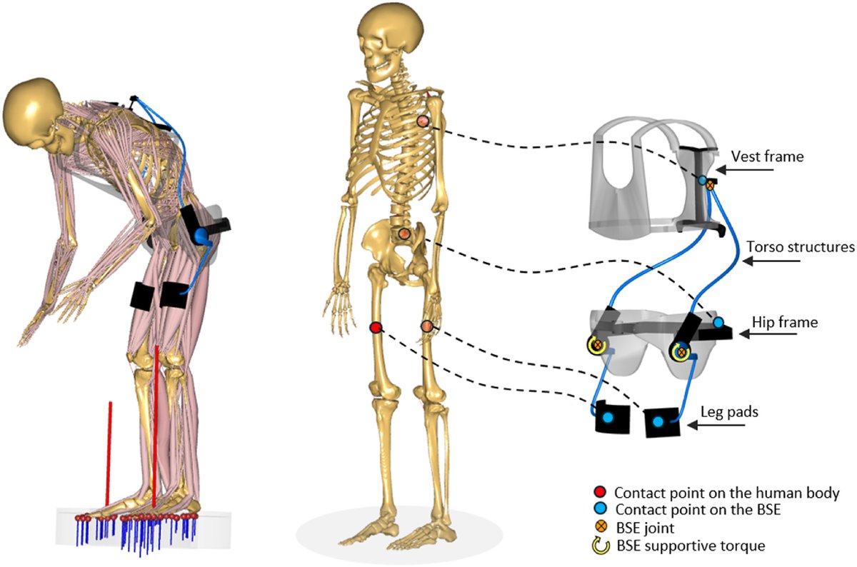 TechAnyBody's tweet image. A new study investigates the effects of a back support exoskeleton with different strength settings, and find that the exoskeleton significantly reduces the lumbar load in a nonlinear way depending on the settings:

🔗 doi.org/10.1016/j.aper…