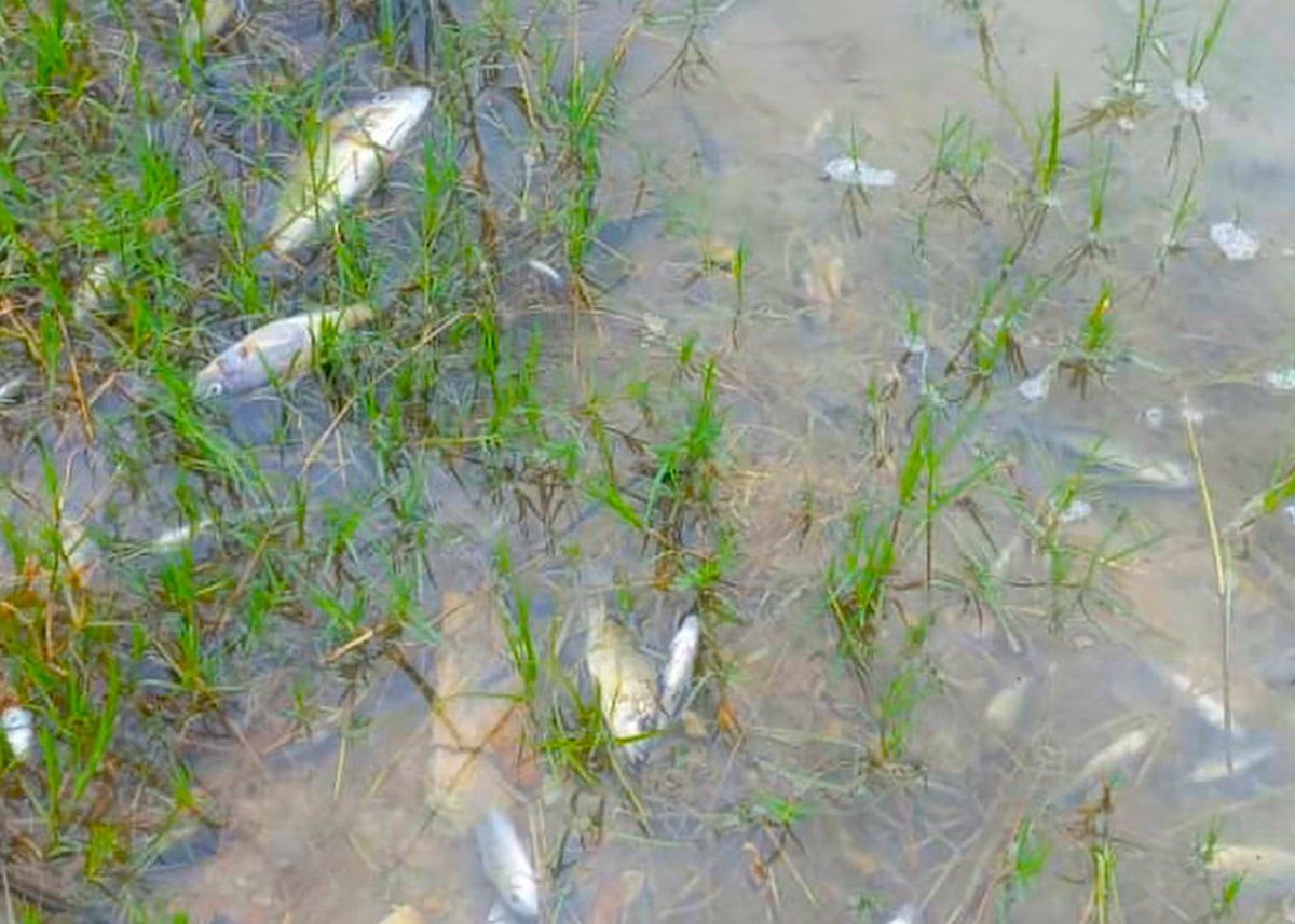 Climate Newsroom tweet media