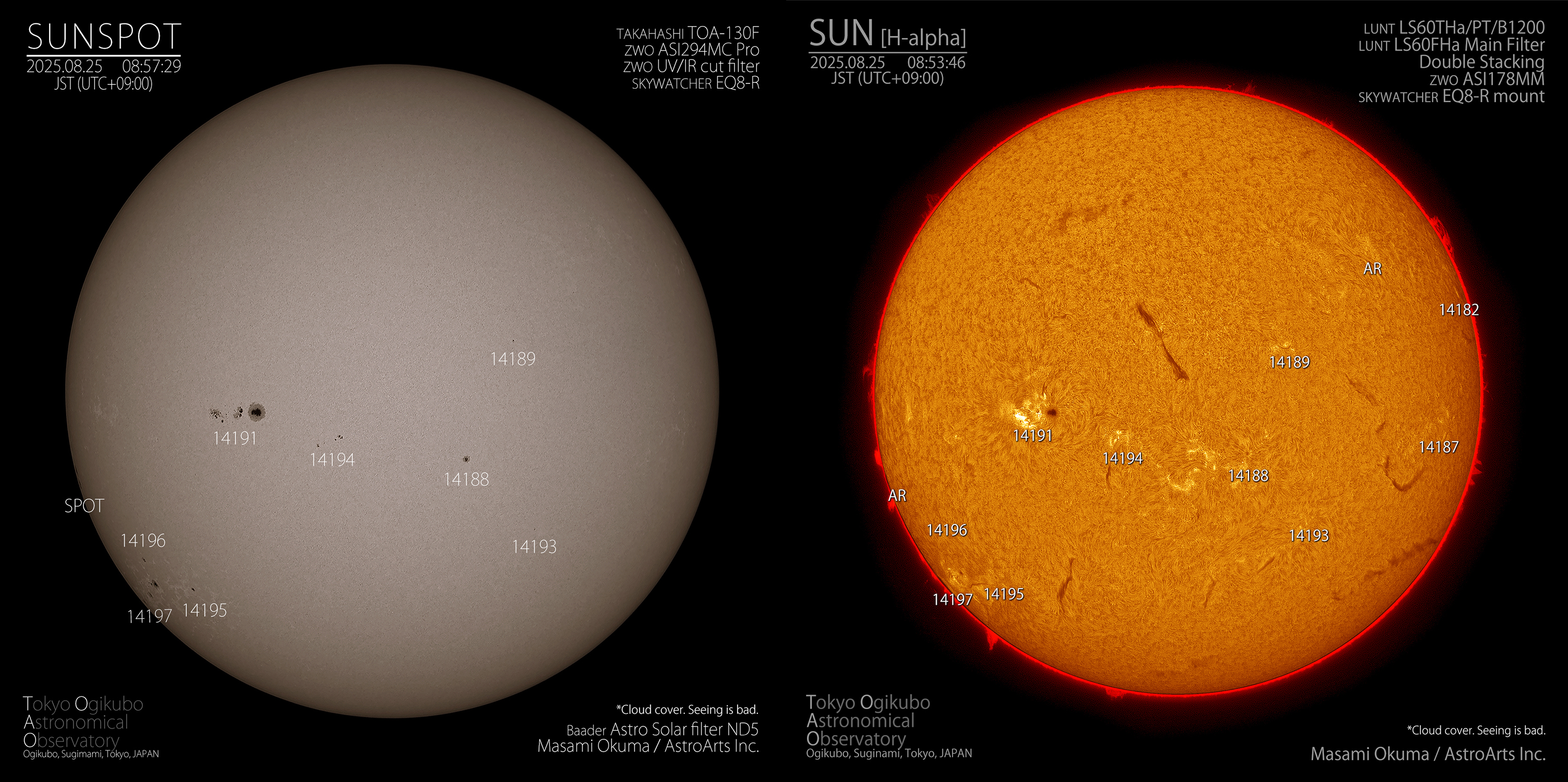 太陽と月ほか ハワイアンモチーフ 太陽と月（ラー＆ルナ）の意味 - ハワイアン