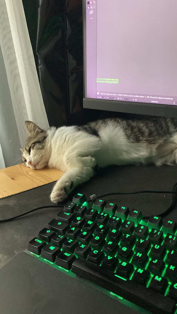 bugün benim için özel. ilk kez ben çalışırken yanımda uyuyo. 5 yaşında