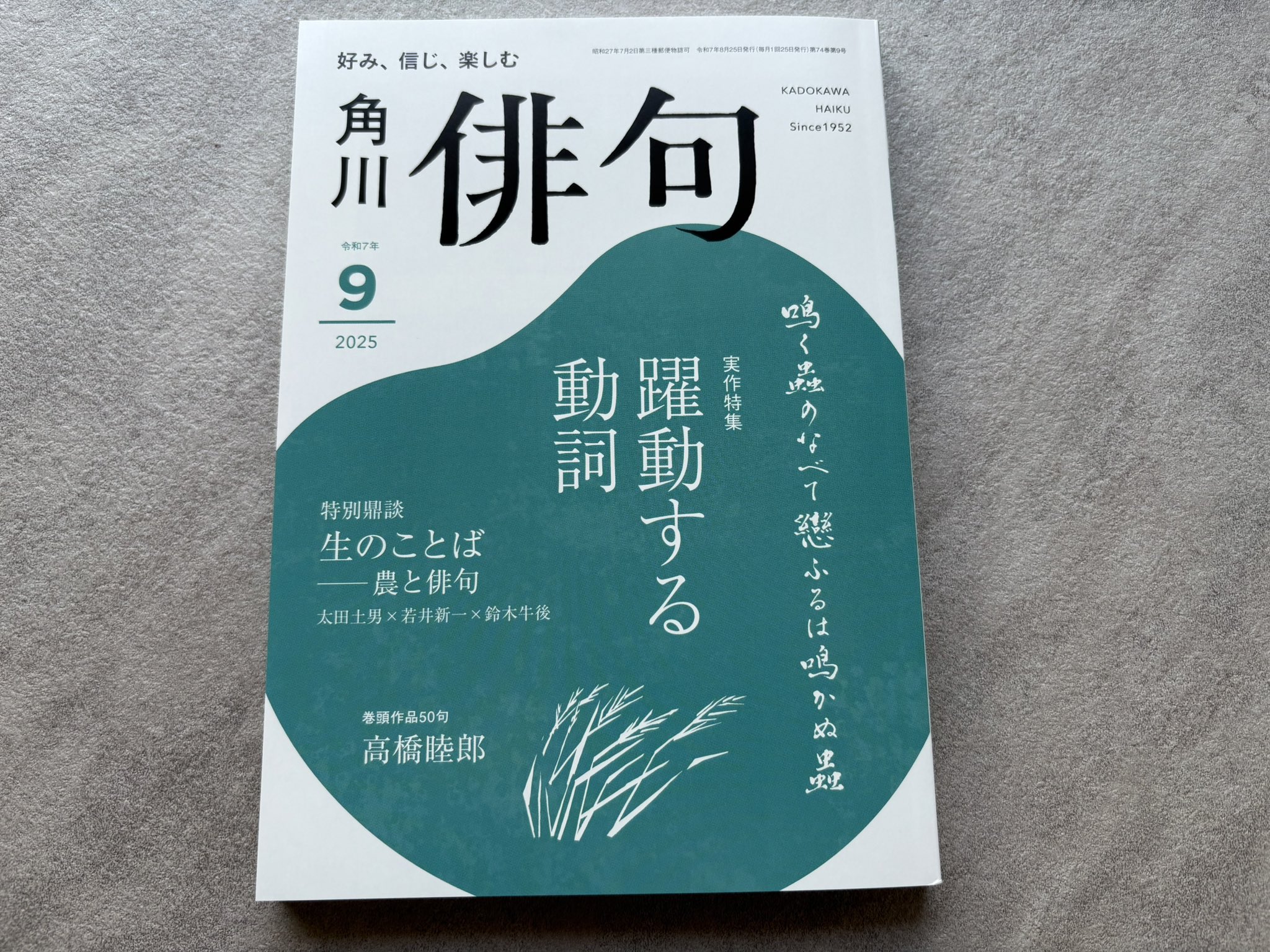 秀句の風姿—現代俳句鑑賞 (角川選書) 秀句の風姿—現代俳句鑑賞 (角川選書) 71UobxQ6zKL._UF1000
