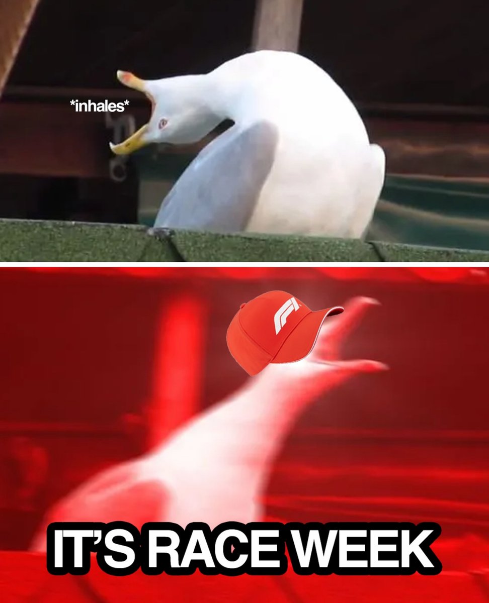 wearetherace's tweet image. SUMMER BREAK IS ALMOST OVER