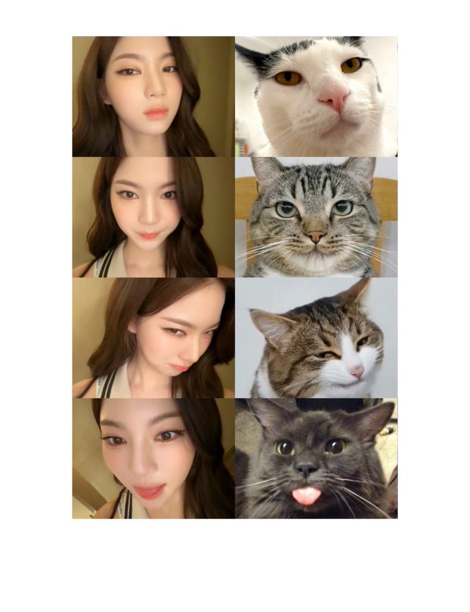 25.08.25 — CY🐱🫧