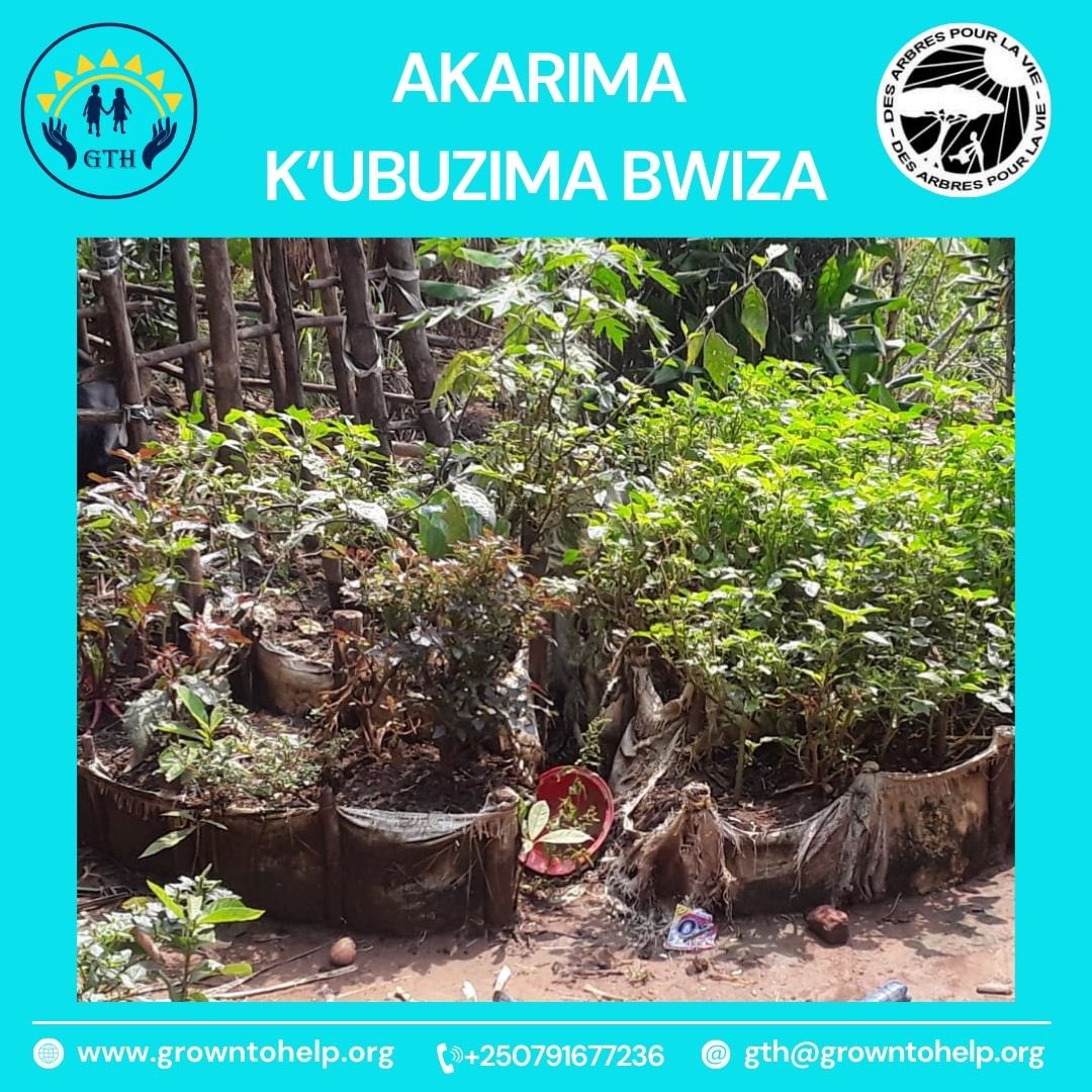 HelpGth's tweet image. 🌱💰 Growing Together, Saving Together!
In Runda–Kamonyi, our Garden of Healthy Life Saving Group turns small savings into seeds, gardens & food security.
Small savings today, big harvest tomorrow!
#smallsavingsbigimpact #womenempowerment #foodsecurity #collectivegrowth