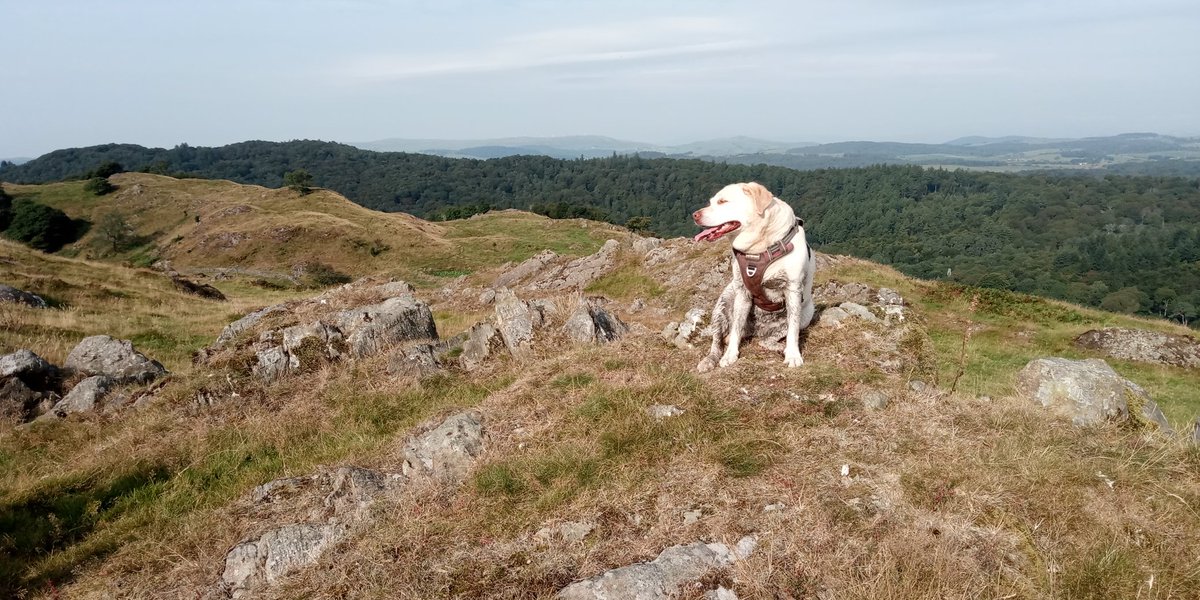 Morning, Bank Holiday and up before the larks and into the Lakes to find some peace and tranquility
Have a good one whatever you are doing 👍