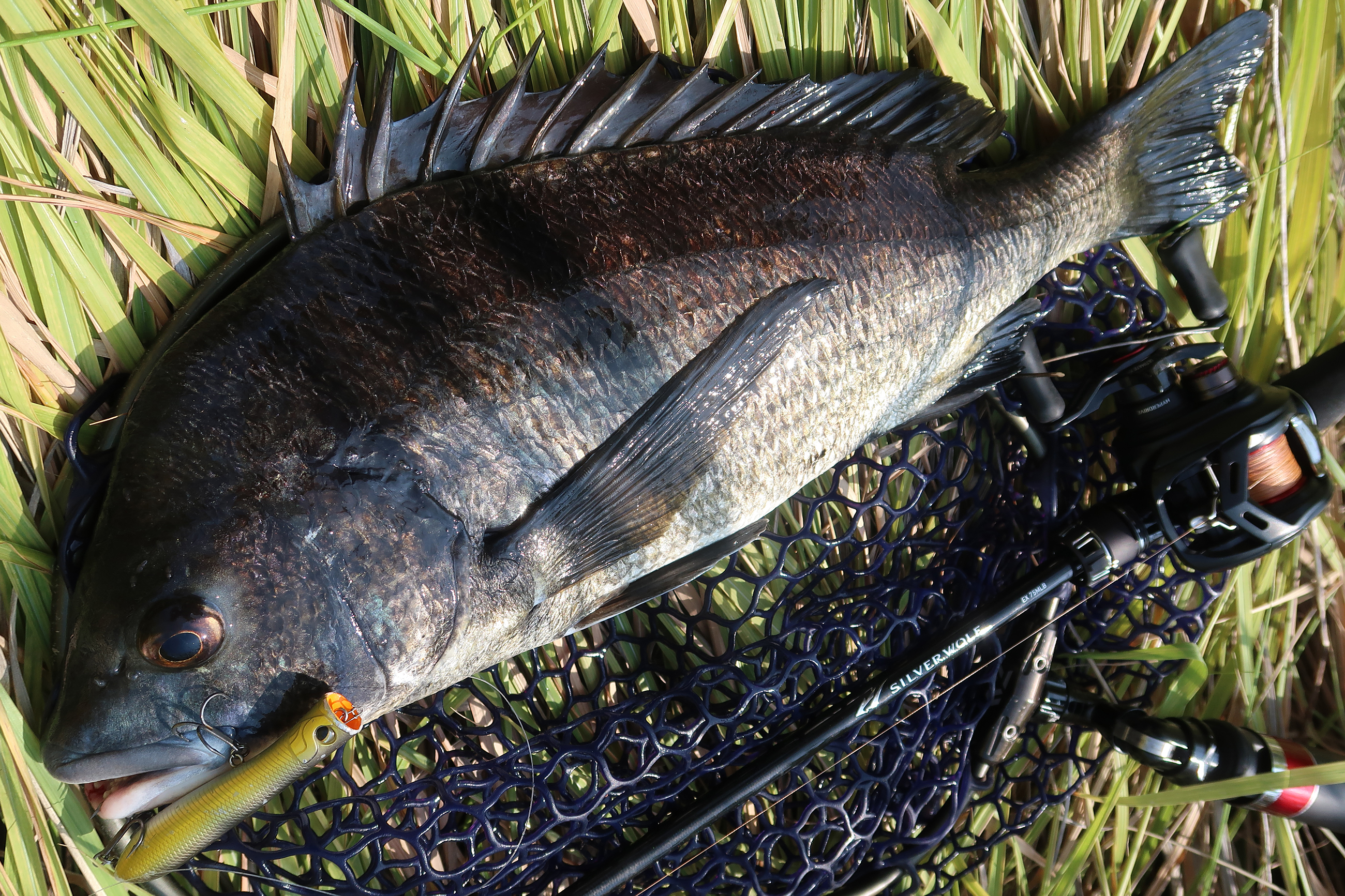 Posts with replies by もりぞー (@morizo57) / X