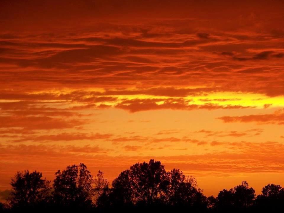GoldenFlaresx's tweet image. The sky on fire, nature’s perfect canvas. 🔥🌇

#SunsetMagic #GoldenHour #FierySky #BurningSky #EveningGlow #SunsetDreams #SkyOnFire #NatureAesthetic #PeacefulEvening #SunsetVibes
