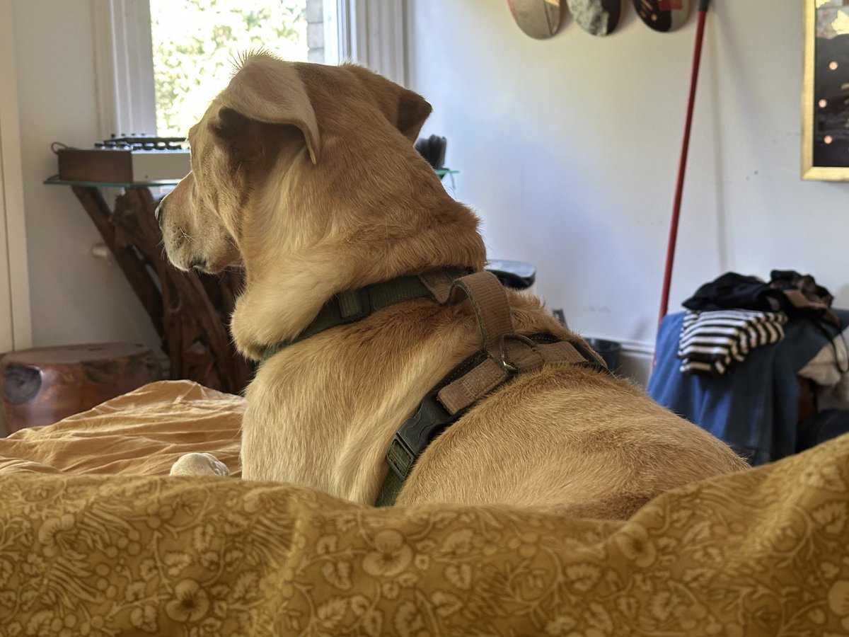 En garde, supported by ear kaboom.