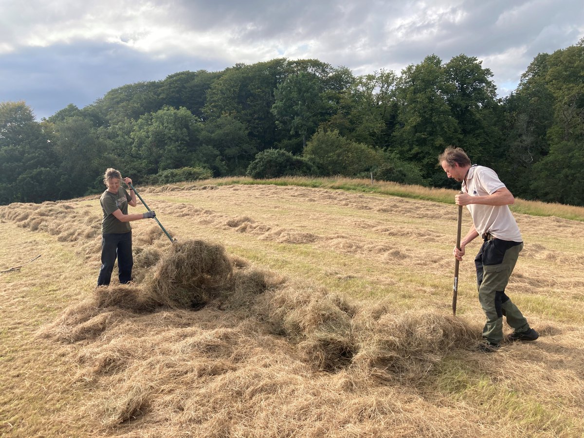 Free Integrating Trees Network event - Tighnabruiach in Argyll, Tues 9 September 10am-1pm. 

Hosted by farmers Katharine &amp; David Lowrie at Auchgoyle Farm, the event showcases how native woodlands increased biodiversity &amp; enhanced their business. 

➡️forestry.gov.scot/news-releases/…