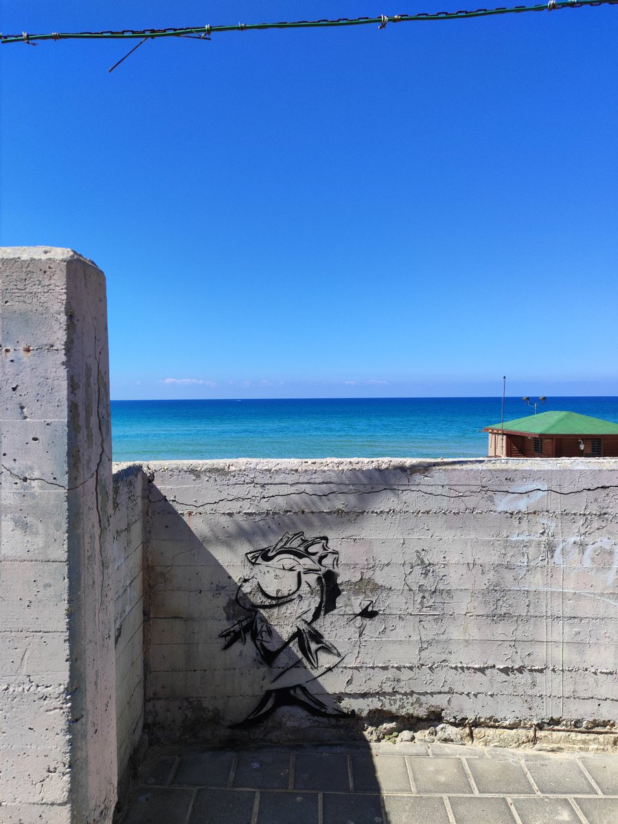 🌊SFYS🌊 (@sea4yourself) on Twitter photo They painted over Too Fish stencil on concrete 😳
Now it's really only exist on <a href="/ApeChainHUB/">ApeChainHUB</a> They painted over Too Fish stencil on concrete 😳
Now it's really only exist on <a href="/ApeChainHUB/">ApeChainHUB</a>