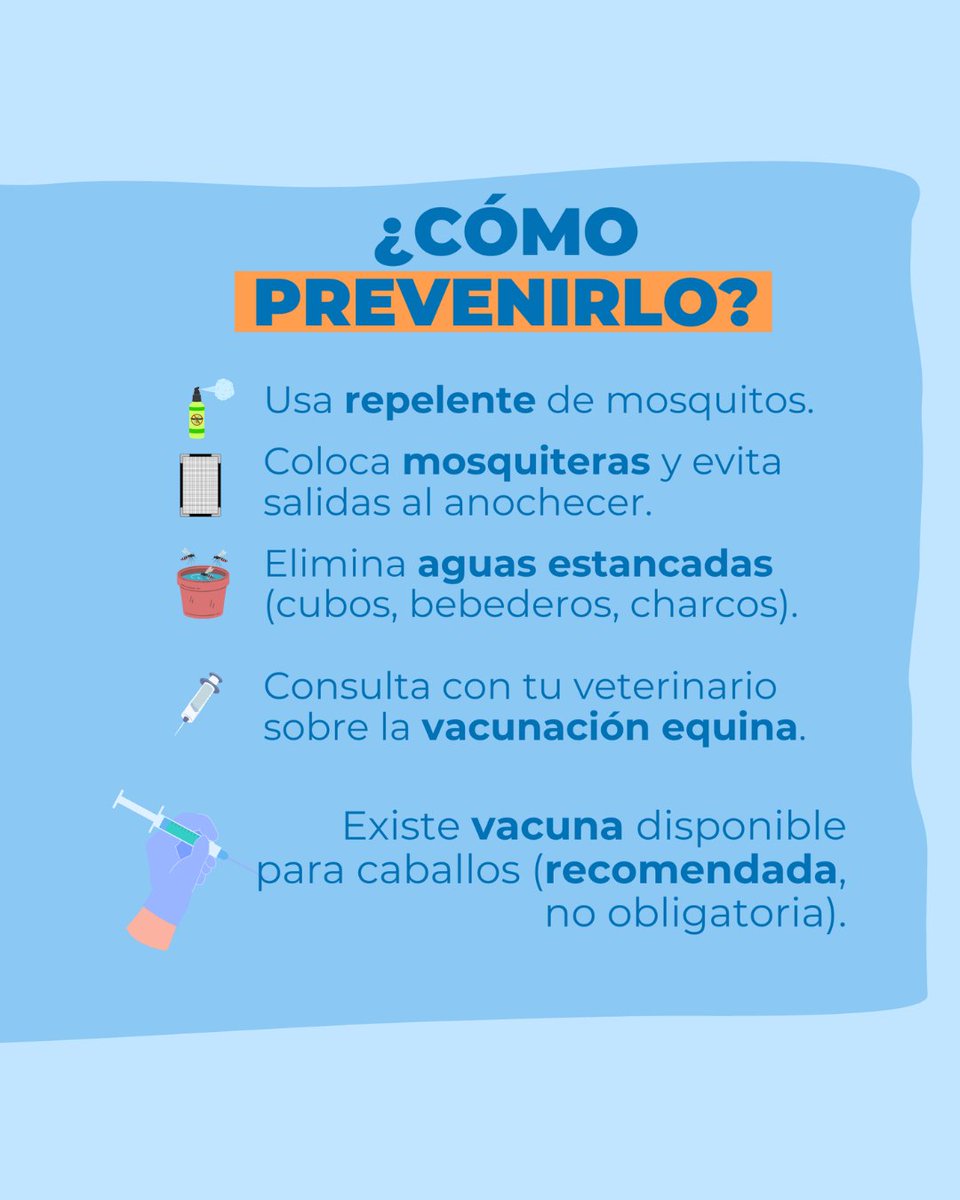 Todo lo que debes saber sobre el Virus del Nilo