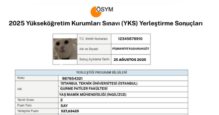 pismaniye artık ünili arkadaslar #YKS2025Tercih  odtü kazanamadı😔