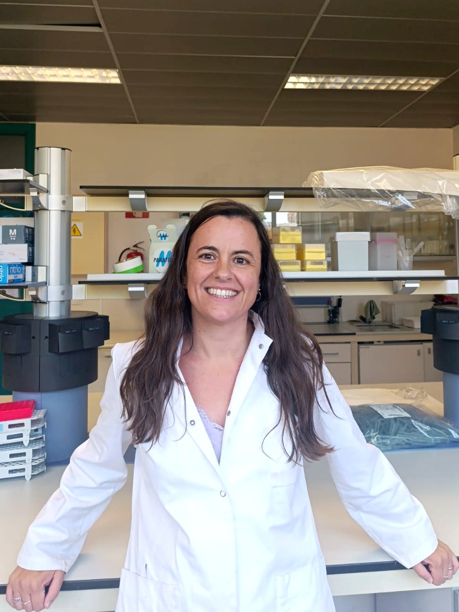 Consejería Universidad, Investigación e Innovación tweet media