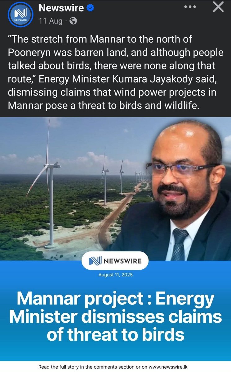 EmDeeS11's tweet photo. Local activists from #Mannar say that 3-4 dead birds are found DAILY at the foot of the wind turbines, in the stretch  between Thalvupadu &amp; Nadukuda alone. 

Not sure where Energy Min. Jayakody visited, or maybe he was asleep, like he had been at meetings with local activists🙄 https://t.co/UB38DnRhC2