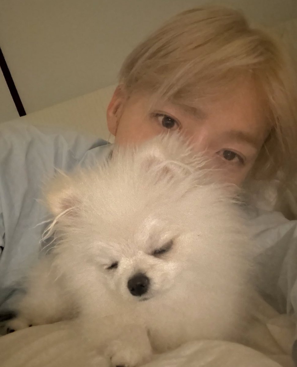 돔두랑 찬희 너무 귀여워 …….

이사랑스러운존재들아 …..