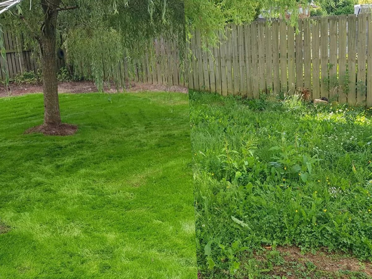 Weeds aren't the issue; weak grass is. 😩

Eliminate weeds with these tips:  
✂️ Mow high - shade them out  
💧 Water deep - strengthen roots  
🌱 Feed grass, not weeds  

Our treatment program can transform your lawn!  

Learn more 👉 bit.ly/lawncare-servi…