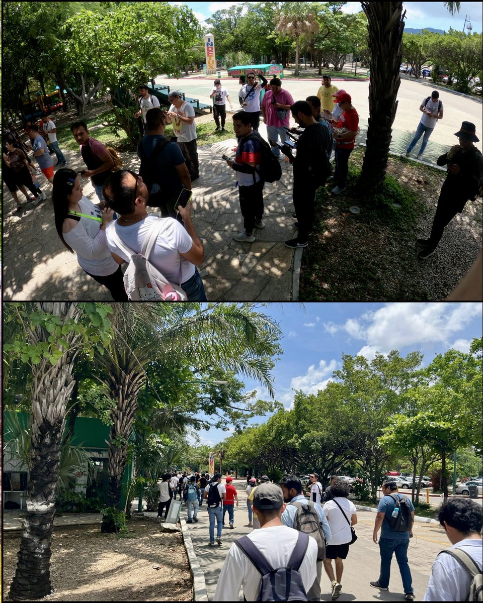 ComTuxtlaGO's tweet photo. ¡Hey trainers!
Mil gracias a todos por el apoyo que está recibiendo la comunidad de esta Ciudad Capital, ¡SU COMUNIDAD!.

Concluimos una semana bastante ajetreada llena de eventos y con este fin de semana de Pokémon GO Fest 2025: Max Finale ❤️✨

#PokemonGO #pokemongoappla https://t.co/R1Ubi1g7ci