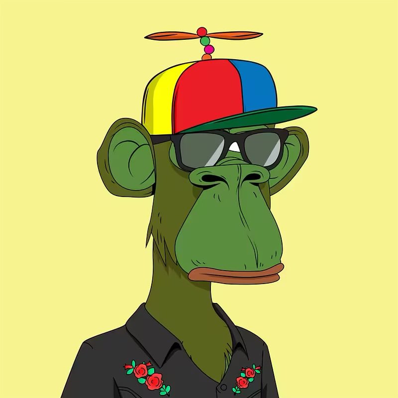 MULLETMANONSOL's tweet photo. Spin 2 Win!  Follow the rhythm follow the rhyme figure it out or get left behind. 
@PepeApeYC 
Like/Repost/Tag a PAYC fren or not! 
Comment “PAYC4LIFE”
Winner drawn in space.
Not these pictured!  Stop staring at me!  No you can’t have these! https://t.co/vDxae2V1a7
