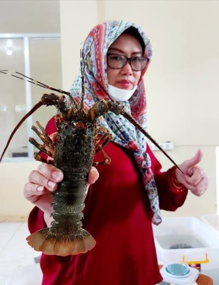 Sudah mempelajari kasus KJA (Keramba Jaring Apung) di Pangandaran yg diprotes bu <a href="/susipudjiastuti/">Susi Pudjiastuti</a>. Ternyata biang keroknya adalah si Rita ini, Wakil Dekan FPIK UNPAD ini, yg punya 'hubungan' dengan perusahaan KJA. 
Nanti akan kami bongkar semuanya!