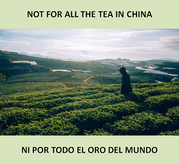 #IdiomsECI
("Not for all the tea in China” = "Ni por todo el oro del mundo”) (Cuando queremos dejar claro que no tenemos ninguna intención de hacer algo, como quedarnos a hacer horas extras por bien pagadas que estén.)
Pron.: /nɑt fɔr ɔl ðə ti ɪn ‘ʧaɪnə/
(elclementeingles.blogspot.com.es/2015/12/martes…)