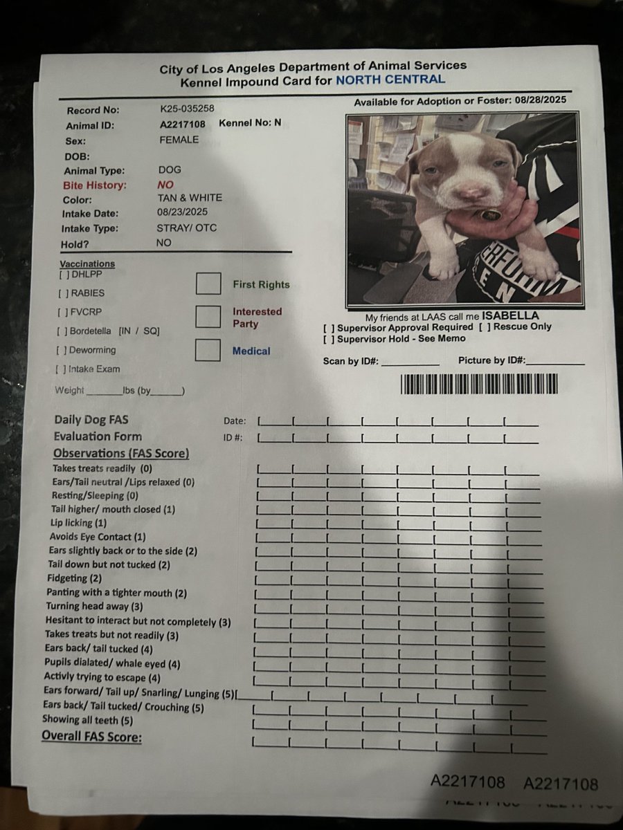 I found 6 abandoned pit bulls. 4 still nursing puppies, along with mother &amp; father, in horrible conditions. The adults are two of the sweetest dogs I've ever seen. The rescues were full &amp; can't accept the dogs until they're in the shelter system. I had to take them to North